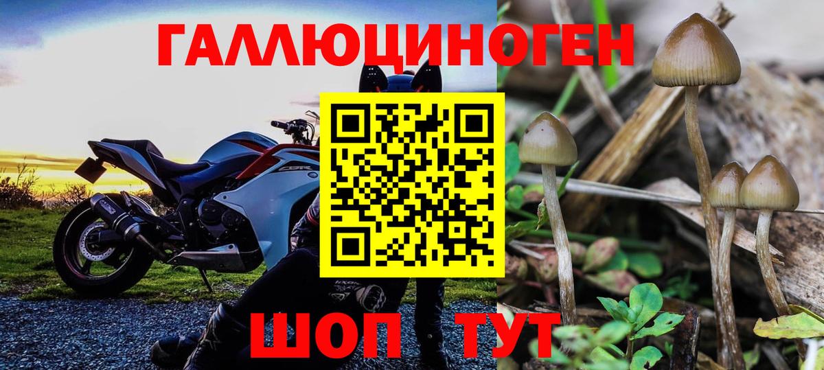 Галлюциногенные грибы мухоморы Южноуральск
